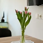 Art Apartment Trogir