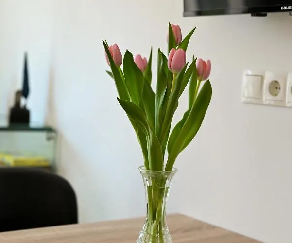 Art 아파트 트로기르